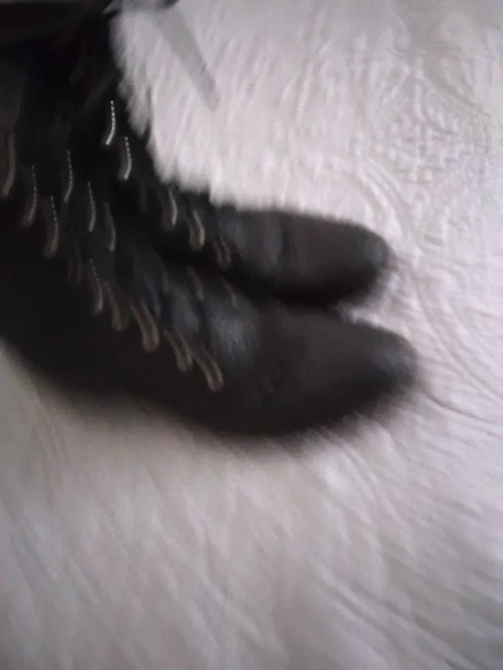 Justin Western 522 Roper Boots Pebbled Bullhide Leather Size 8.5D Lace Up USA